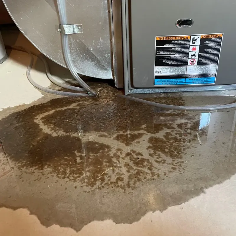 Pipe Burst and Leak Restoration in Olmos Park, TX