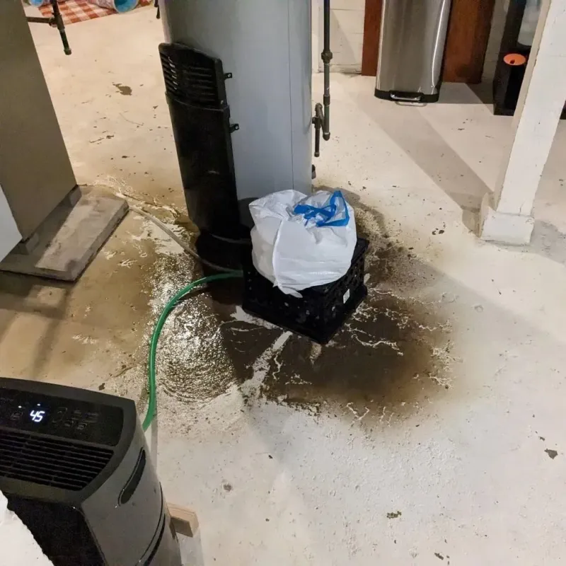 Sewage Backup Cleanup Service in Olmos Park, TX